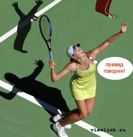 ������, ������! 5